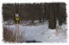 snowhike-037