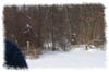 snowhike-039