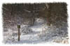 snowhike-041