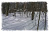snowhike-044