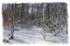 snowhike-045