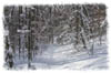 snowhike-049