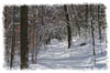 snowhike-050