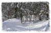snowhike-052