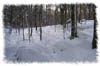 snowhike-054