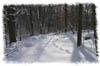 snowhike-055