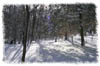 snowhike-057