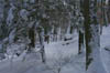snowhike-061