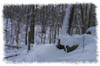 snowhike-062