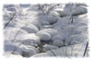 snowhike-066