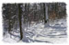 snowhike-069