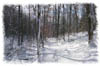 snowhike-070