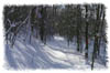 snowhike-077