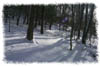 snowhike-087