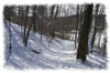 snowhike-088