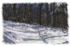 snowhike-091