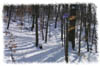 snowhike-093
