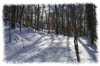 snowhike-095