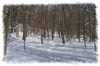 snowhike-101