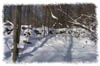 snowhike-102