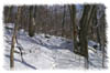 snowhike-104