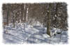 snowhike-108
