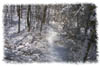 snowhike-112