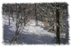 snowhike-113