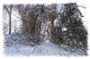 snowhike-115