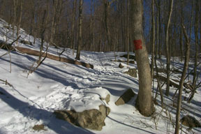 Redtrail-15