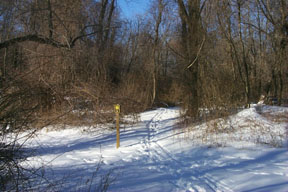 Redtrail-29