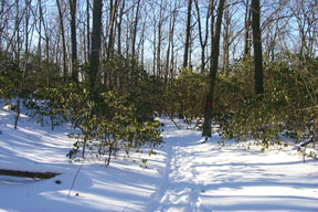 Redtrail-34