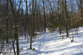 Redtrail-37