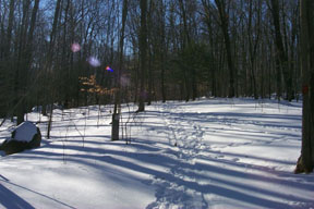 Redtrail-42