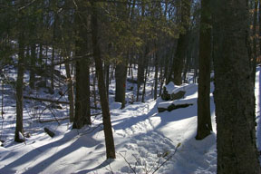 Redtrail-46