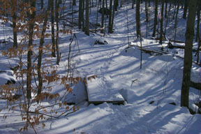 Redtrail-50