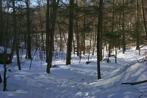 Redtrail-51
