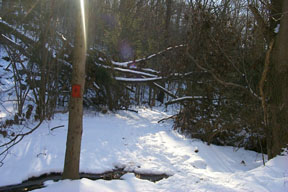 Redtrail-53