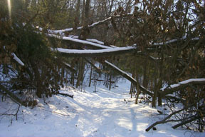 Redtrail-55