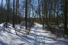 Redtrail-58