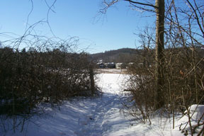 Redtrail-59