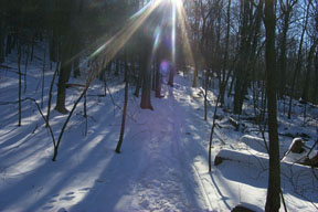 Redtrail-61