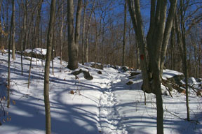 Redtrail-69