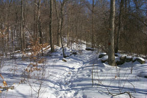 Redtrail-71