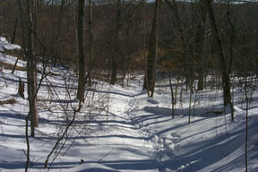 Redtrail-72