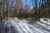 Redtrail-18