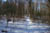 Redtrail-31