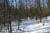 Redtrail-37