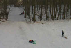 sledding-002.jpg (21567 bytes)