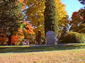 foliage4.jpg (31077 bytes)